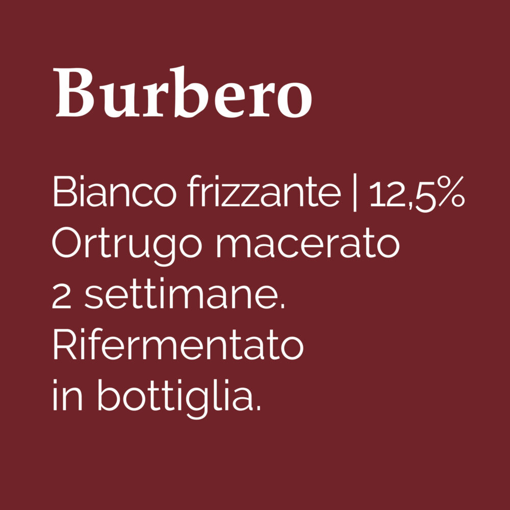 Burbero-01
