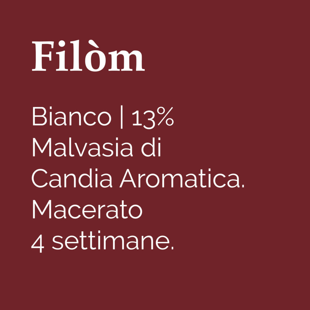 Filomm-01