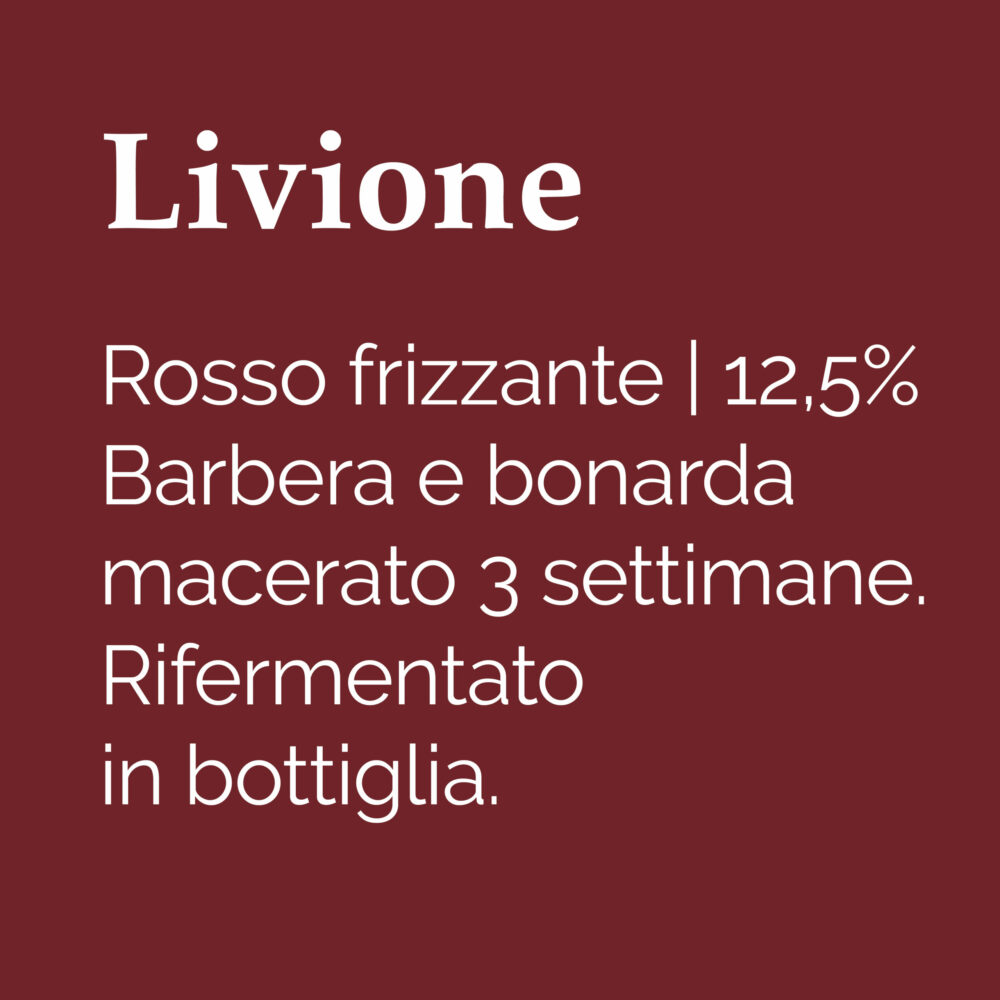 Livione-01